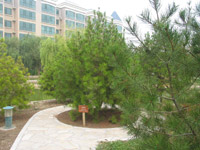 ̫�O������^