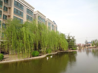 ̫�O������^