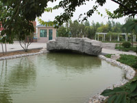 ̫�O������^