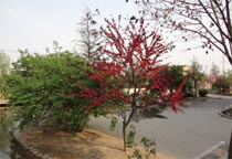 ̫�O����^�Ĵ���