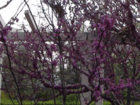 ̫�O�²����O�乫˾���쾰ɫ