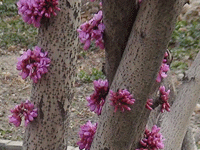 ̫�O�²����O�乫˾���쾰ɫ