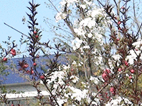 ̫�O�²����O�乫˾���쾰ɫ