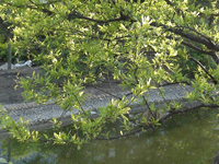 ̫�O�²����O�乫˾���쾰ɫ