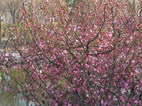 ̫�O��@��ɫ��̫�O�²����O�乫˾