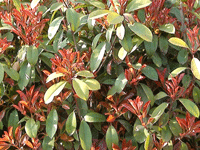 ̫�O��@��ɫ��̫�O�²����O�乫˾