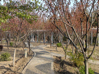 ̫�O��@��ɫ��̫�O�²����O�乫˾