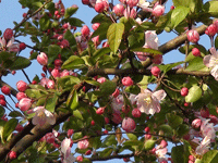 ̫�O��@��ɫ��̫�O�²����O�乫˾