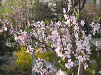 ̫�O��@��ɫ��̫�O�²����O�乫˾