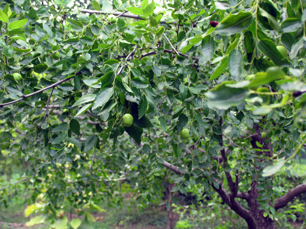 ̫�O�²����O�乫˾